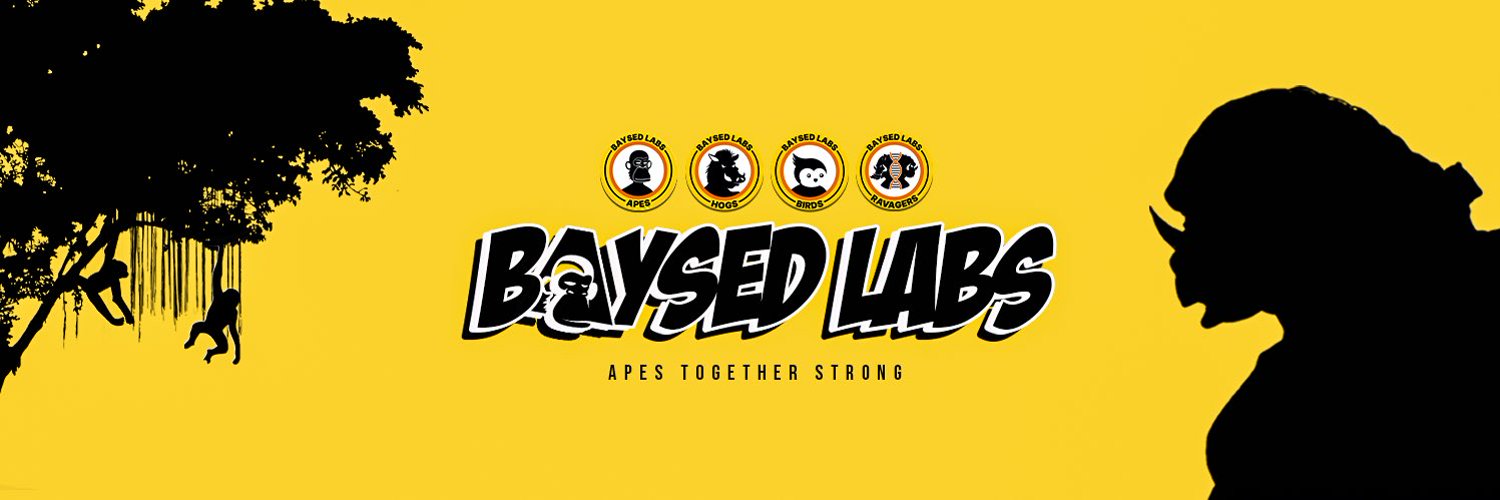 Baysed Labs Gallery
